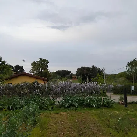 Vendégház Amelia Bracciano